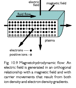 fig.10.9